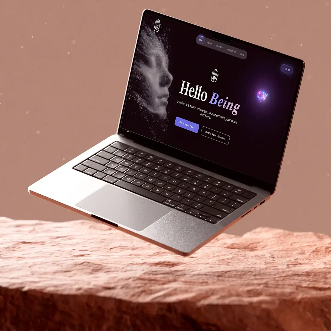 Entwine homepage on a laptop floating above a rock